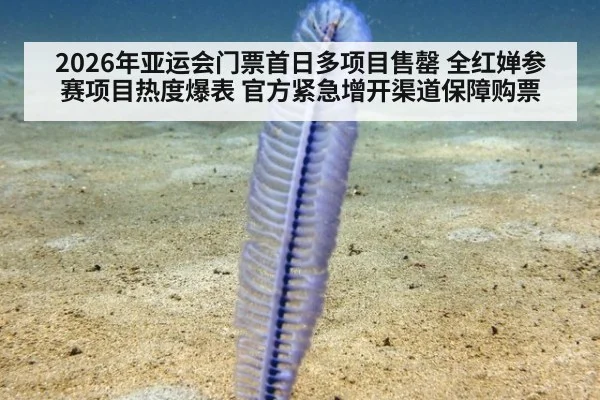 2026年亚运会门票首日多项目售罄 全红婵参赛项目热度爆表 官方紧急增开渠道保障购票